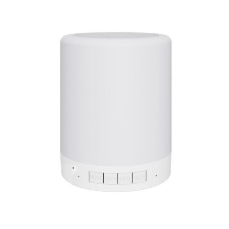 Bluetooth-Lautsprecher mit WLAN-Kamera und Bewegungserkennung