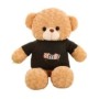 Spionage-Teddybär mit WLAN-Kamera für diskrete Überwachung