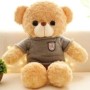 Spionage-Teddybär mit WLAN-Kamera für diskrete Überwachung
