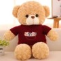 Spionage-Teddybär mit WLAN-Kamera für diskrete Überwachung
