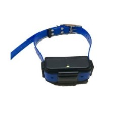 GPS-Hundehalsband 4G ohne Abo mit Live-Tracking & Audiofunktion