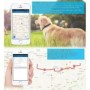 GPS-Hundehalsband 4G ohne Abo mit Live-Tracking & Audiofunktion