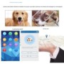 GPS-Hundehalsband 4G ohne Abo mit Live-Tracking & Audiofunktion