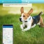 GPS-Tracker 4G für Hunde & Katzen - Sicherheit im Taschenformat