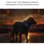 GPS-Tracker 4G wasserdicht mit Live-Ortung & Geozonenalarm