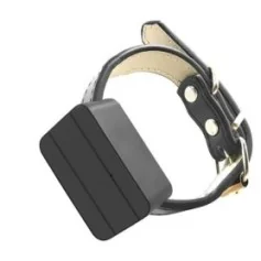Wasserdichter GPS-Tracker mit Echtzeitortung für Haustiere